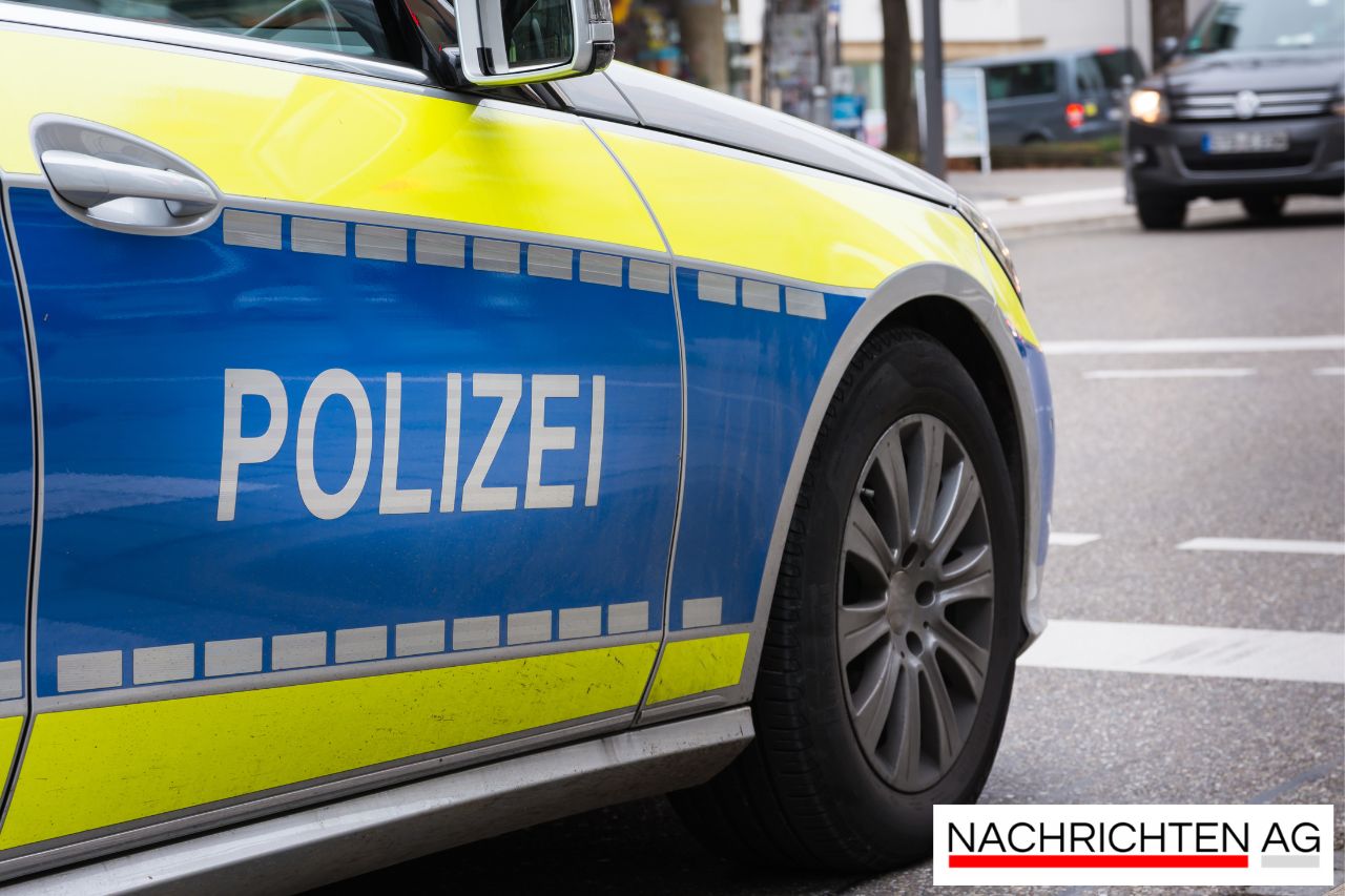 Bergrettung Salzburg: Erfolgreicher Sommerkurs für Rettungshunde in Kolm Saigurn!